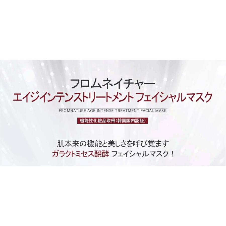 フロムネイチャー 【爆買WEEK20%OFFクーポン発行中】マスクパック 10枚