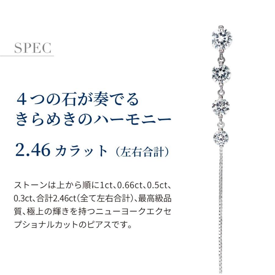 ピアス レディース 揺れる ロングピアス プラチナ 加工 チェーンピアス アレルギー対応 40代 50代 | ニューヨークからの贈り物 | 09