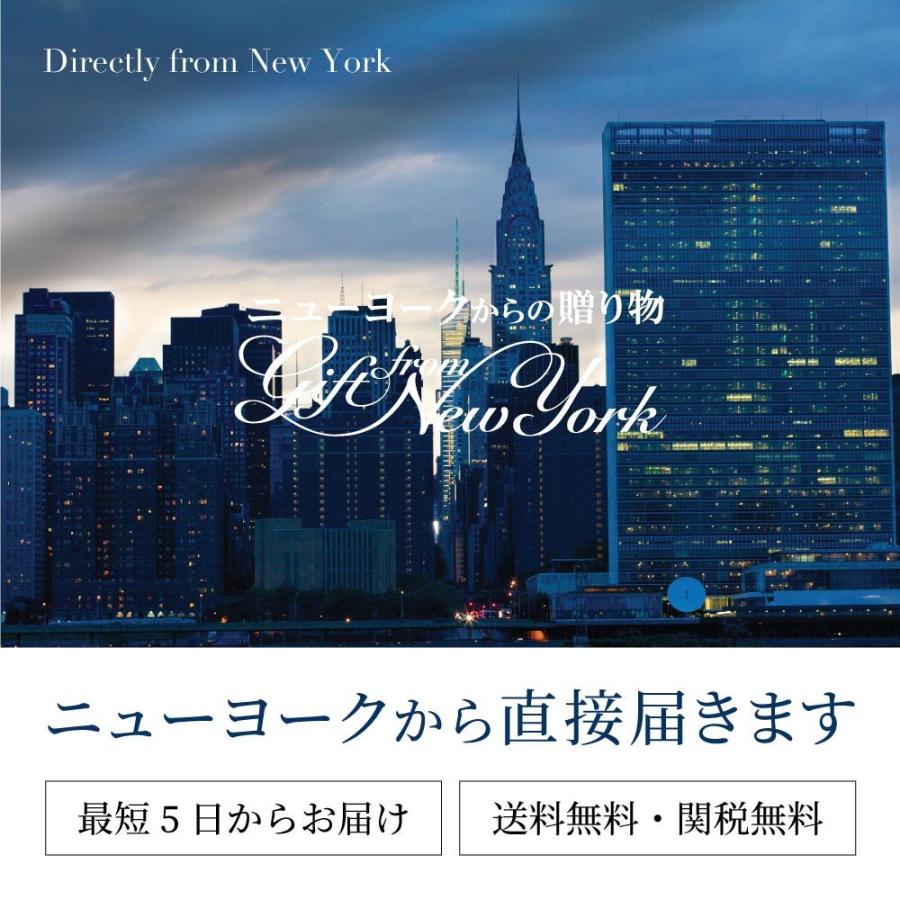 ネックレス レディース ダイヤモンドcz 10金 ゴールド ホースシュー 馬蹄 ブランド プレゼント 女性 10金 馬蹄