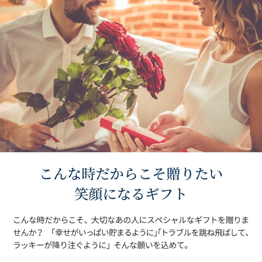 ネックレス レディース ダイヤモンドcz 10金 ゴールド ホースシュー 馬蹄 ブランド プレゼント 女性 10金 馬蹄