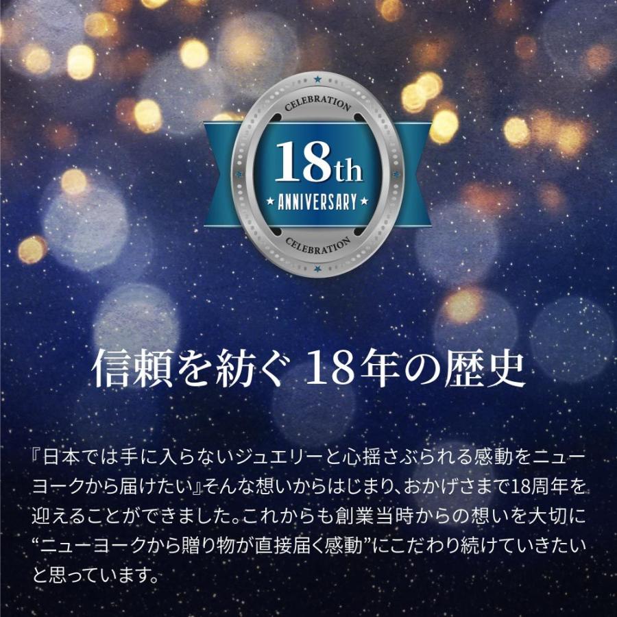ネックレス ピアス レディース ダイヤモンド Cz 14金 ホワイトゴールド アレルギー対応 お求めやすい2点セット S0 1 ニューヨークからの 贈り物 通販 Yahoo ショッピング