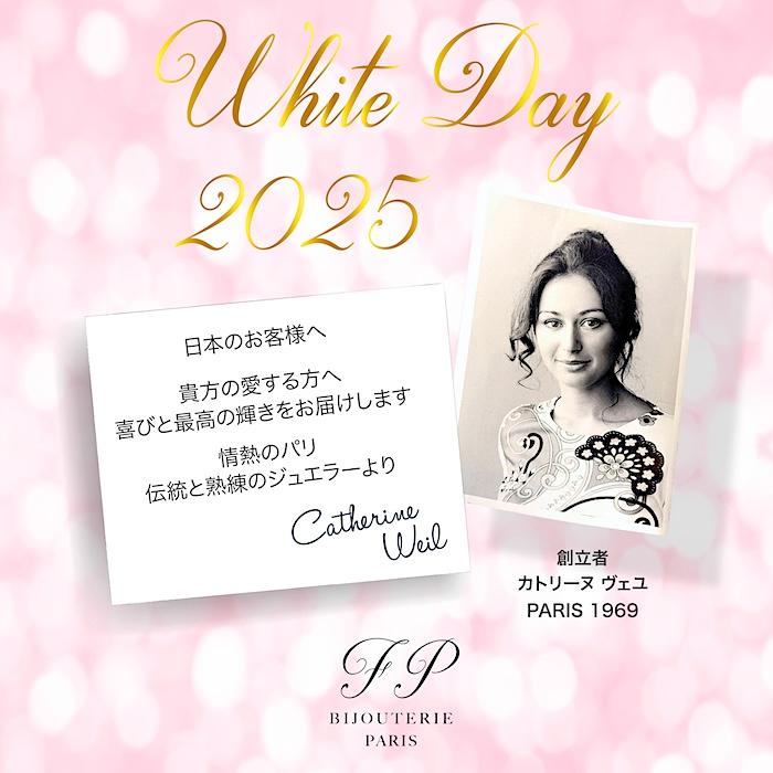 SWAROVSKI ネックレス 誕生日 クリスマス プレゼント 女性 妻 SWAROVSKI ネックレス 誕生日 クリスマス プレゼント 女性 妻
