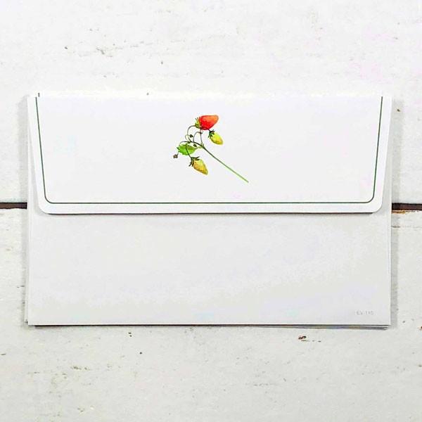封筒　おしゃれ　橋本不二子シリーズ　バラとヘビイチゴ　EV-110 |  | 01