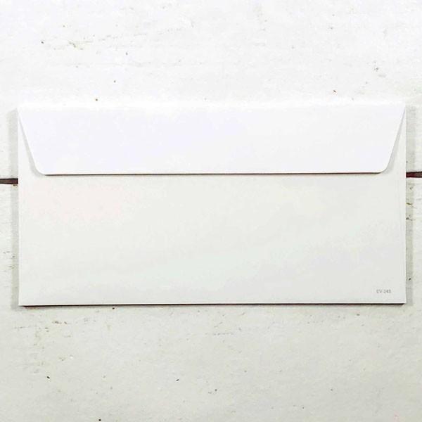 封筒　おしゃれ　バラ　EV-243 |  | 01