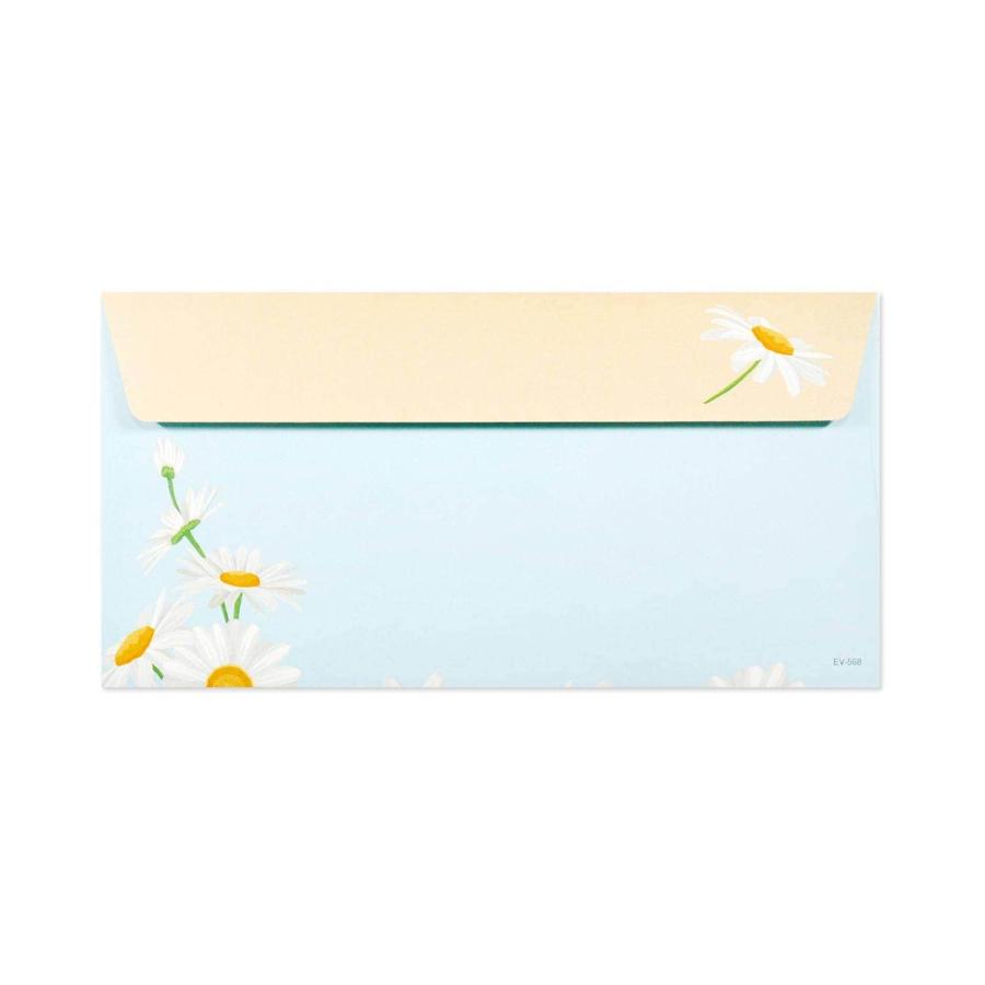 封筒　空色とデイジー｜ev-568 |  | 01