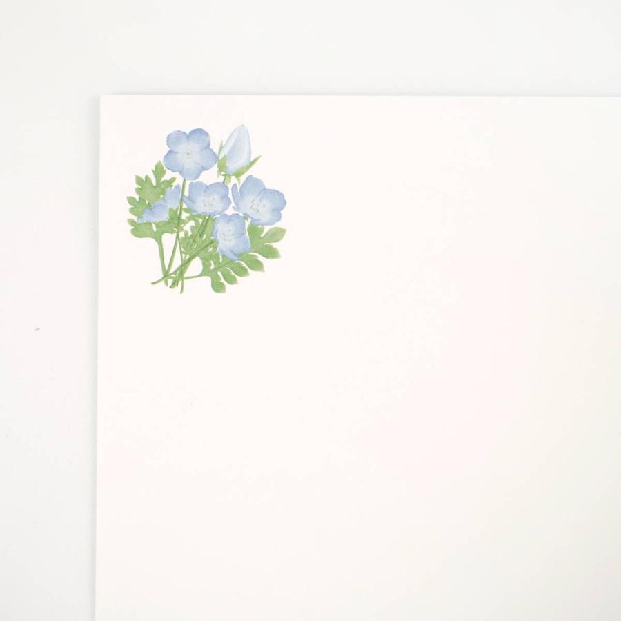 封筒　ネモフィラが咲く丘｜ev-618 |  | 04