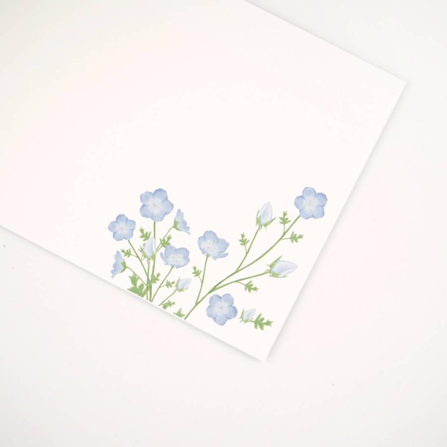 封筒　ネモフィラが咲く丘｜ev-618 |  | 06