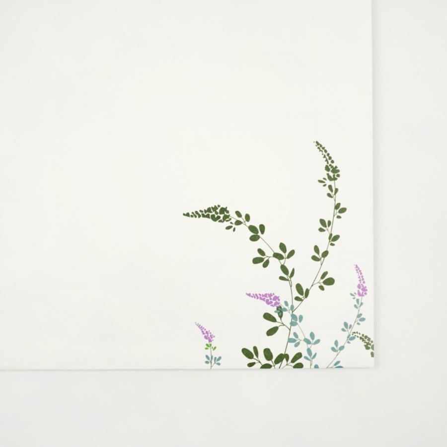 封筒 萩Hagi｜ev-629 |  | 04