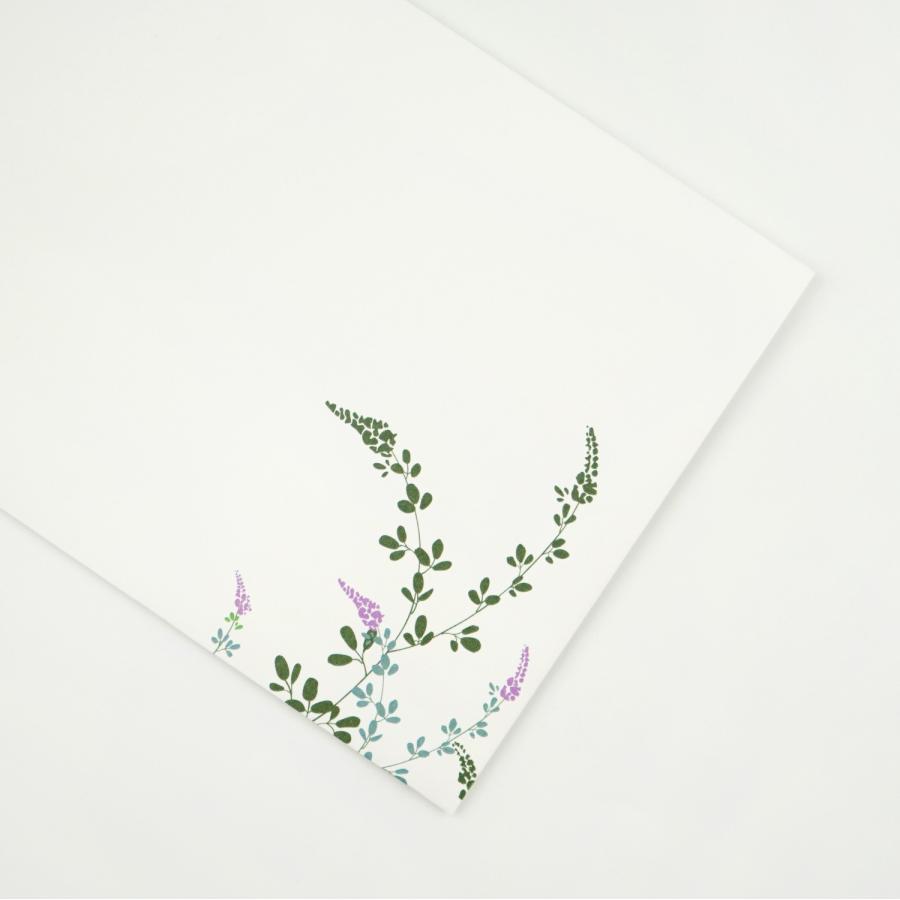 封筒 萩Hagi｜ev-629 |  | 06