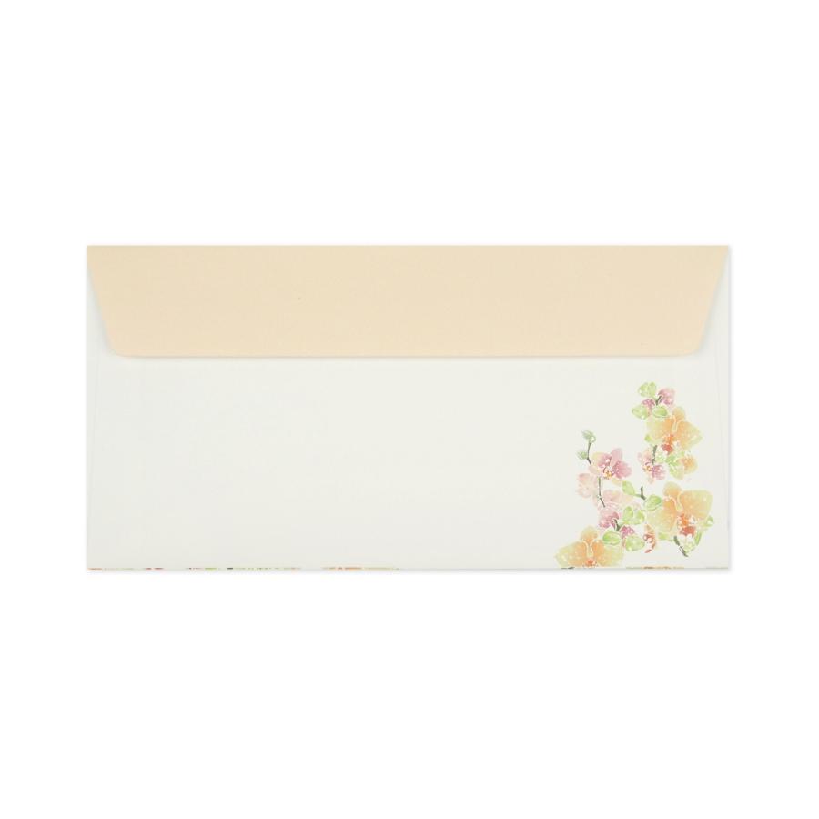 封筒 胡蝶蘭｜ev-635 |  | 01