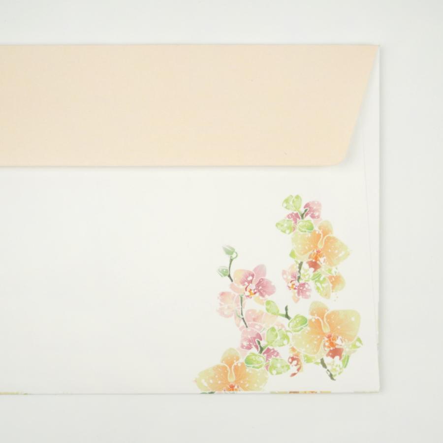 封筒 胡蝶蘭｜ev-635 |  | 05