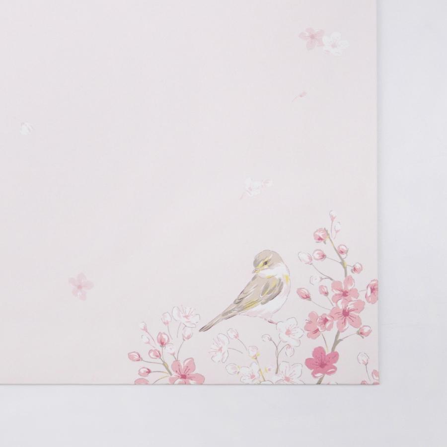 封筒　さくらんぼを待ちながら｜ev-640 |  | 04