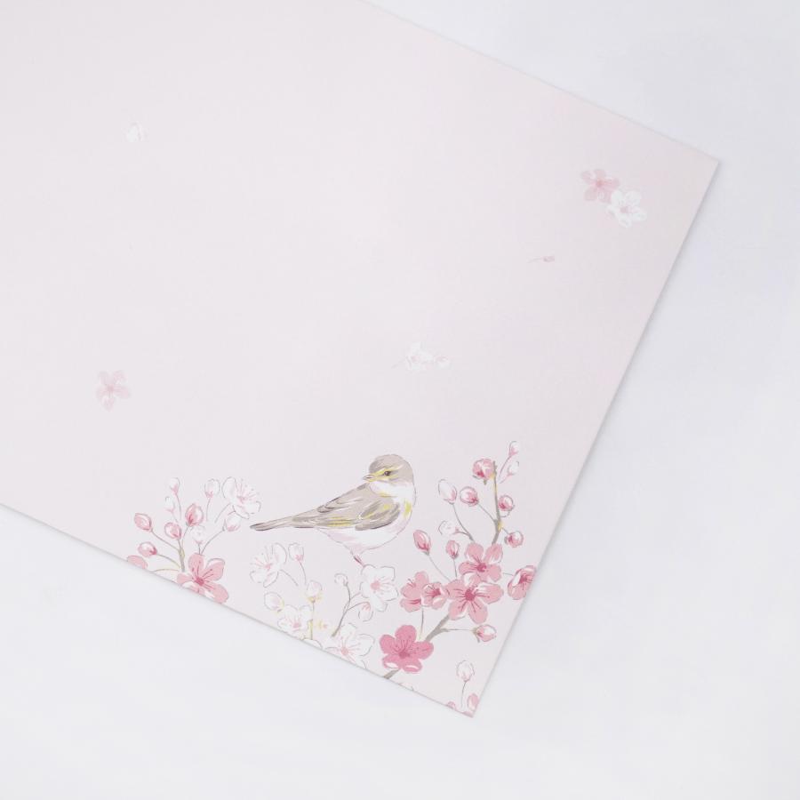 封筒　さくらんぼを待ちながら｜ev-640 |  | 06