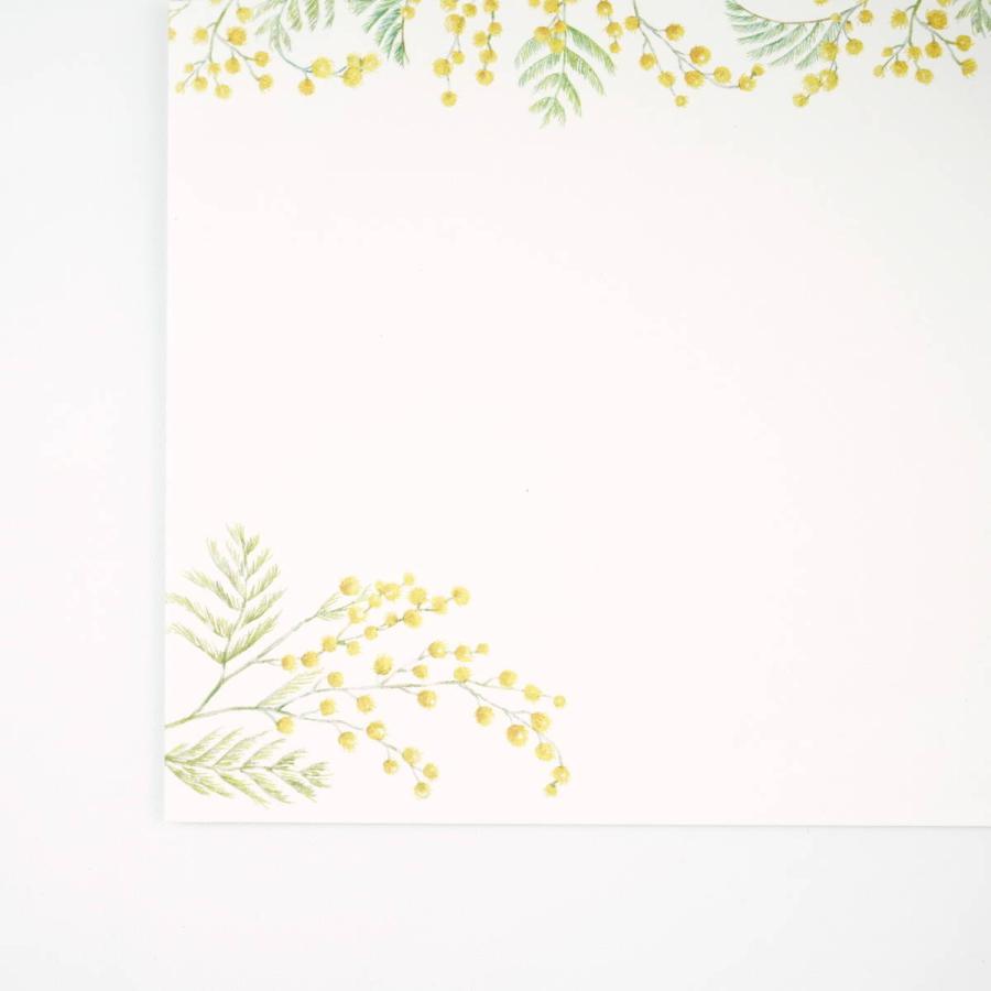 封筒　ミモザの庭から｜ev-670 |  | 05