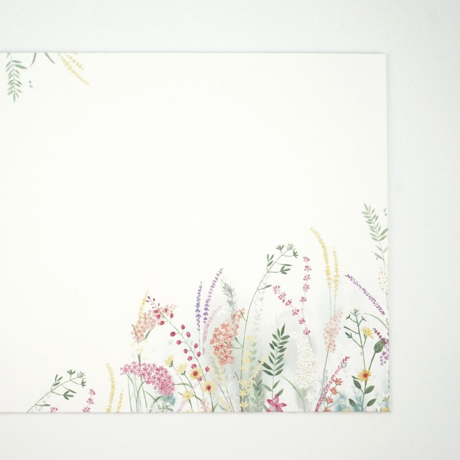 封筒　草木が染まる頃｜ev-684 |  | 04