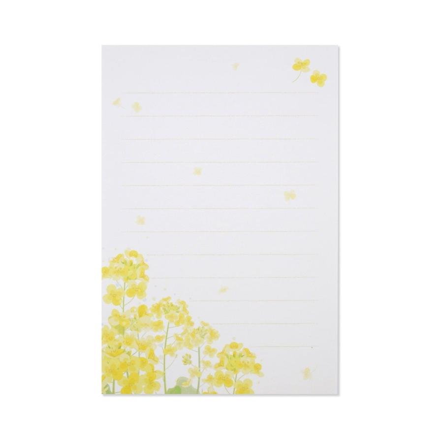 はがき箋 菜の花の便り｜hgs-471 : フロンティアYahoo!ショップ - 通販