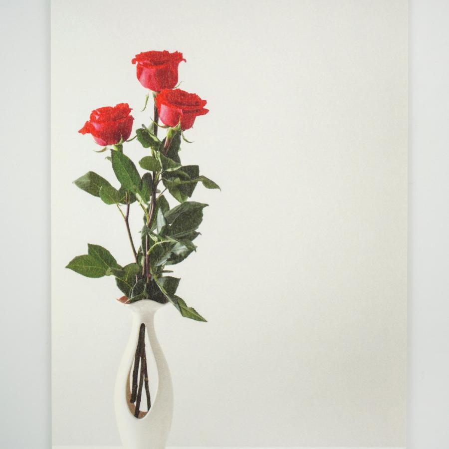 Plastic Tree 真っ赤な糸 ライカ ポストカード Plastic Tree 真っ赤な糸 ライカ ポストカード Plastic Tree 真っ赤な