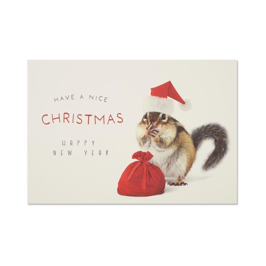 クリスマスポストカード リスとサンタ袋｜pcr-156 : フロンティアYahoo