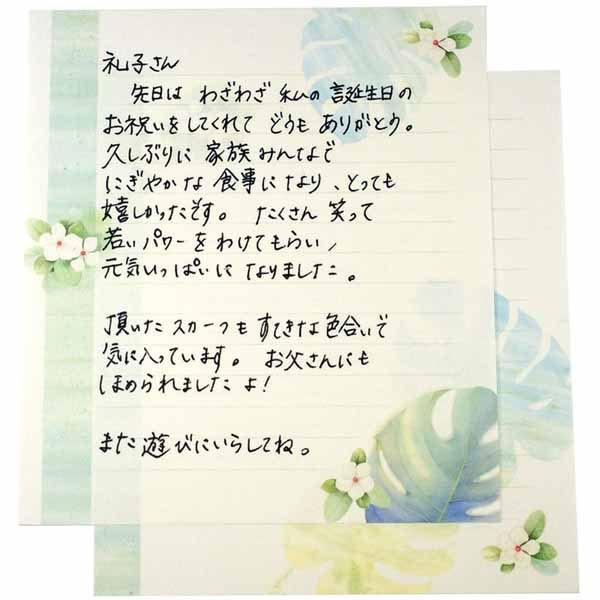 便箋 おしゃれ モンステラ Pd 461 フロンティアyahoo ショップ 通販 Yahoo ショッピング