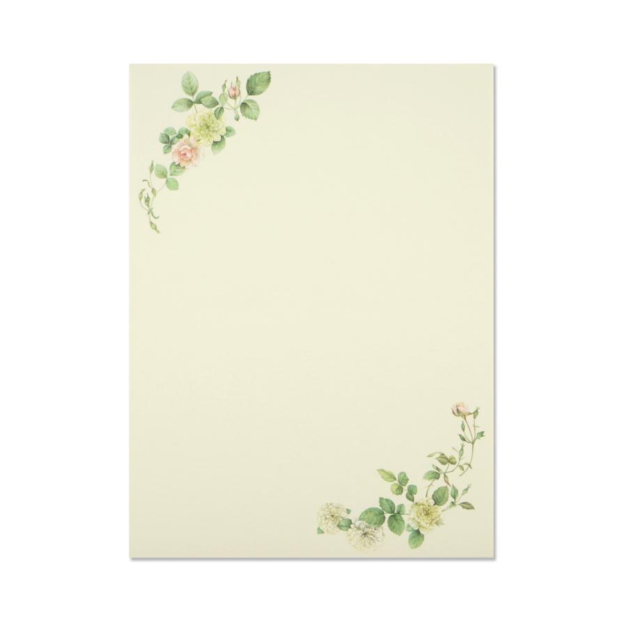 便箋　ワイルドローズ｜pd-652 |  | 02