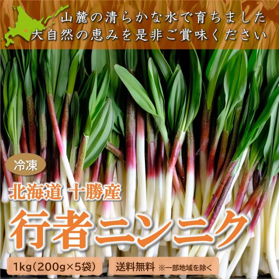 行者ニンニク 北海道十勝産 冷凍1kg 0g 5袋 数量限定 野菜 山菜 ギョウジャニンニク アイヌネギ キトビロ Ffm0002 フロンティアファーム 通販 Yahoo ショッピング