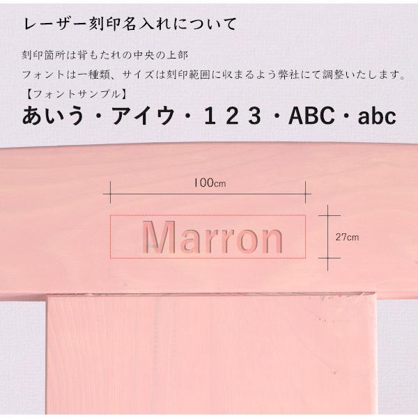 ドイツ社製自然塗料の安心・安全ペットベッド Mサイズ 環境に優しいエコ塗装仕上げ 北欧パイン材 クッション付 名入れ レーザー刻印 