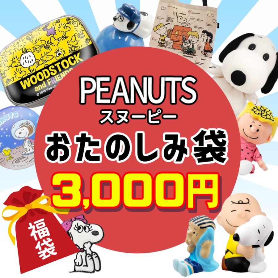 スヌーピー 福袋 22 数量限定 Snoopy ウッドストック チャーリーブラウン 福箱 初売り プレゼント ギフト キッズ 子供 女の子 男の子 Fk2 Snoopy3000 フロンティアジャパン 通販 Yahoo ショッピング