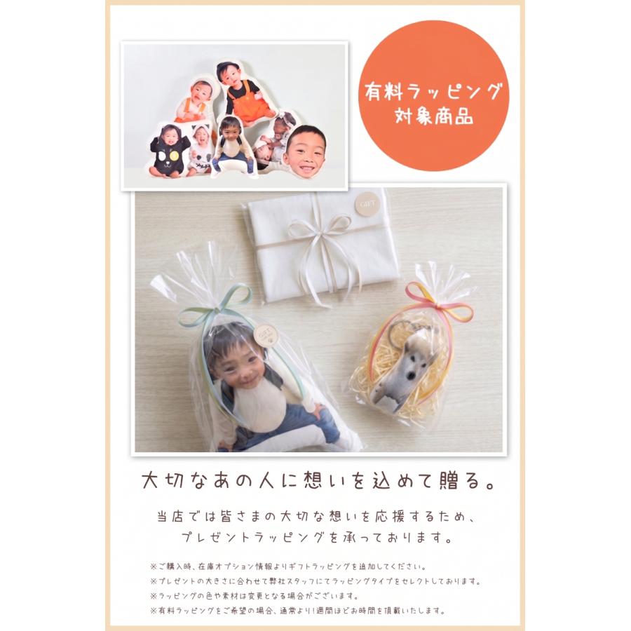 ペット ブランケット オーダーメイド 毛布 オリジナル メモリアル