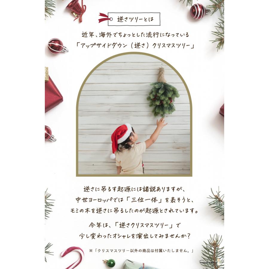 ウォール ツリー 壁掛け 小さい ミニ クリスマスツリー クリスマス