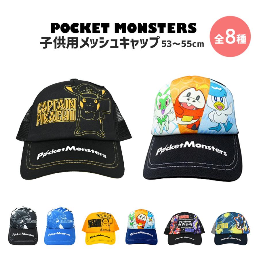 ポケモンキッズ 135匹まとめ売り 被りなし ポケモンキッズ メガリザードンX&メガリザードンY編』が2025年8