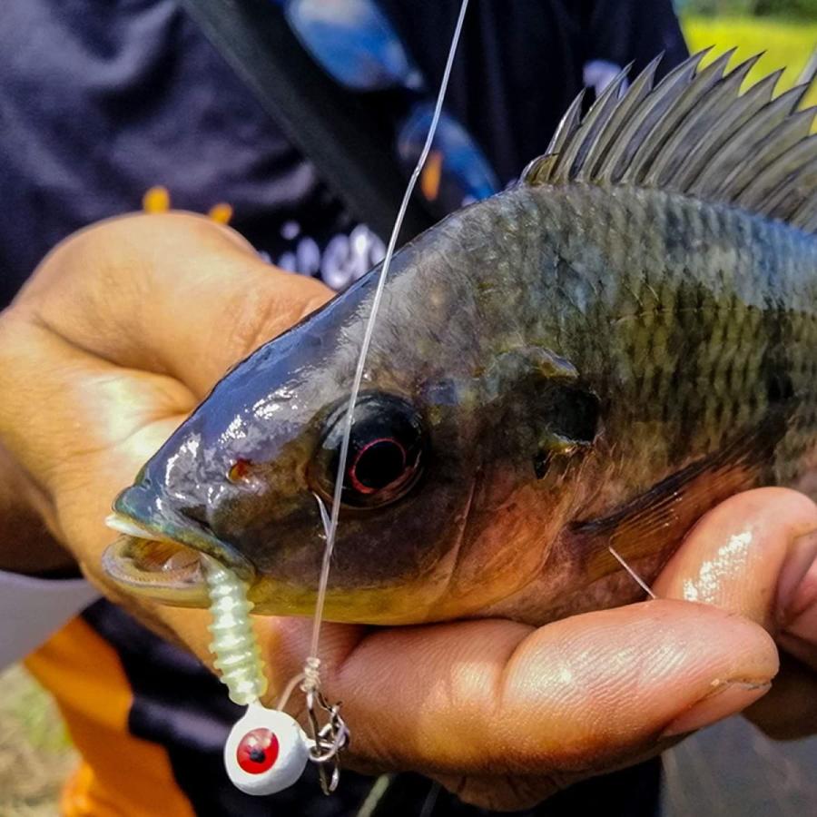 Silanon アジング メバリング ジグヘッド ルアー セット カラフル 3d 根掛かりしにくいジグヘッド 30本セット 0 9g 1 8 014 フロントラインx 通販 Yahoo ショッピング