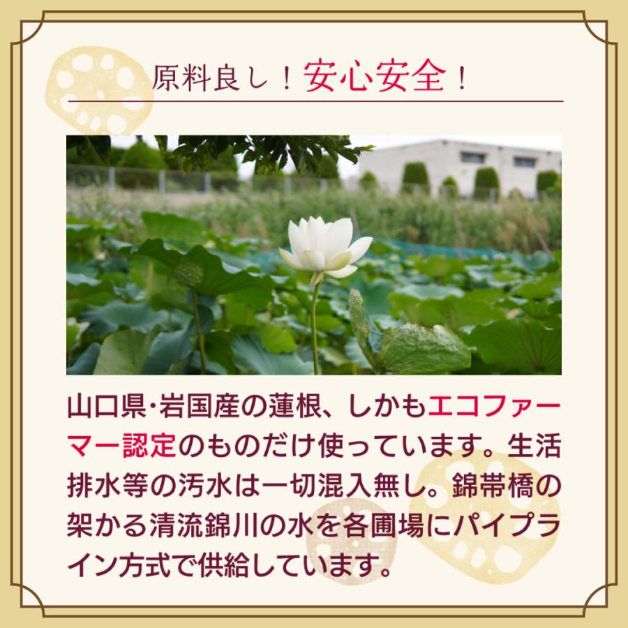 【送料無料】十割つぶつぶ蓮根 小袋25g入り レンコンパウダーよりも香ばしい味と香り！ 花粉症対策・免疫力UPにも |  | 11