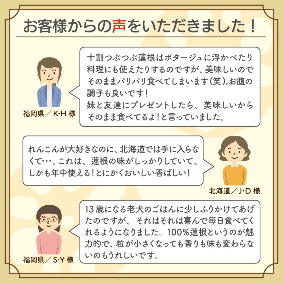 【送料無料】十割つぶつぶ蓮根 小袋25g入り レンコンパウダーよりも香ばしい味と香り！ 花粉症対策・免疫力UPにも |  | 08