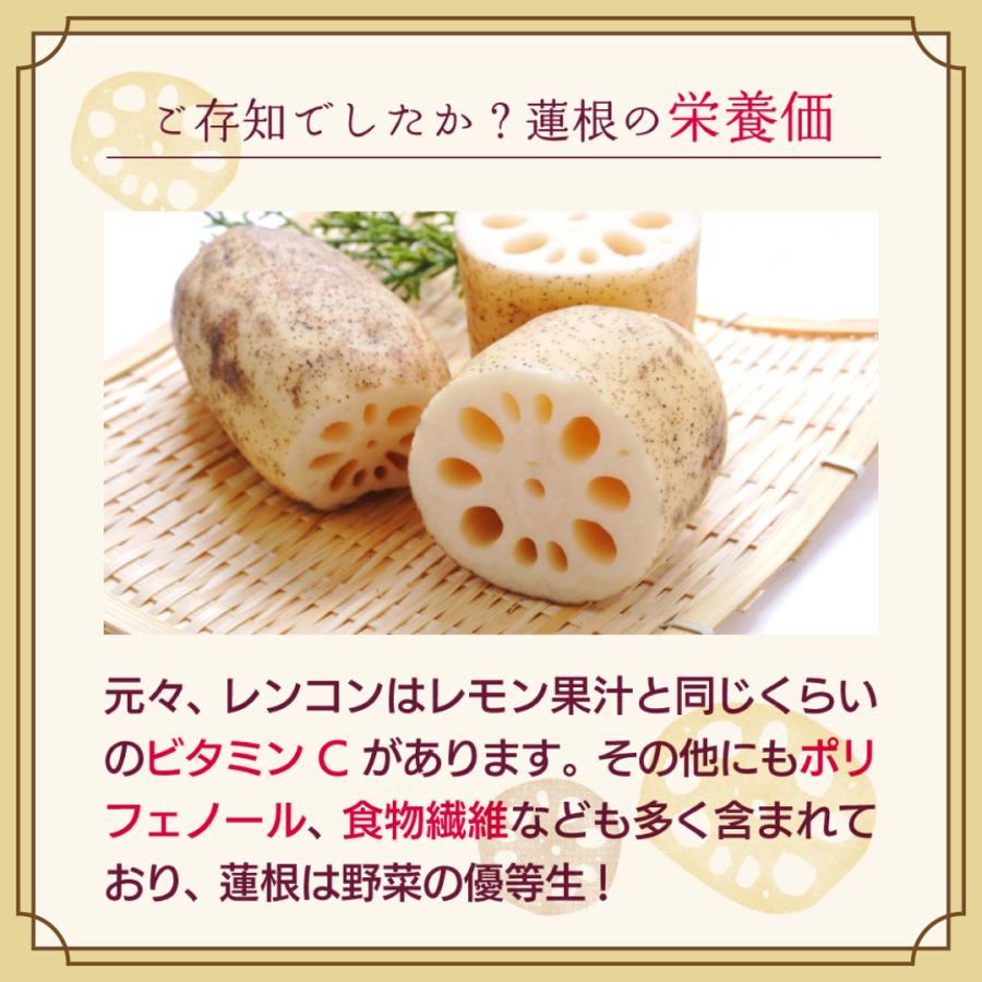 【送料無料】十割つぶつぶ蓮根 お徳用大袋65g入り レンコンパウダーよりも香ばしい味と香り！ 花粉症対策・免疫力UPにも |  | 10