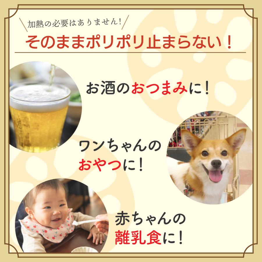 【送料無料】十割つぶつぶ蓮根 お徳用大袋65g入り レンコンパウダーよりも香ばしい味と香り！ 花粉症対策・免疫力UPにも |  | 05