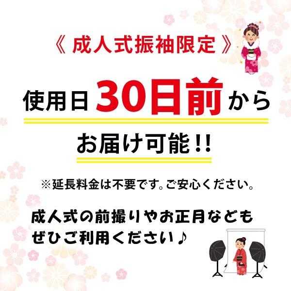 成人式 振袖レンタル 着物レンタル 振袖 レンタル 成人式振袖 身長 145cm〜158cm位 二十歳 成人式レンタル 正月振袖 1月振袖 貸衣装 振り袖レンタル 赤流水桔梗｜frou-frou｜06