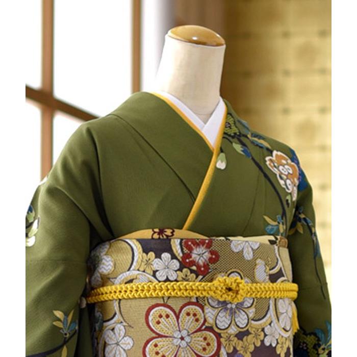 訪問着 レンタル 卒業式 母 着物 広巾 3L 13-17号 身長 154cm〜169m位