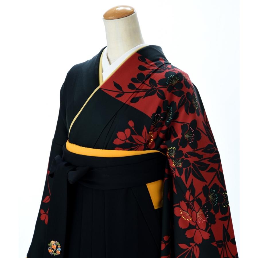 入場料 フォロー 主導権 着物 黒 赤 Ereanj Org