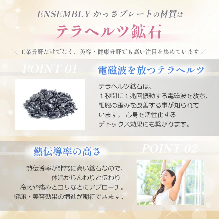 VIIVA テラヘルツ　デトックス　ダイエット viiva テラヘルツメーター Vpowerとヒーリングドライヤーの