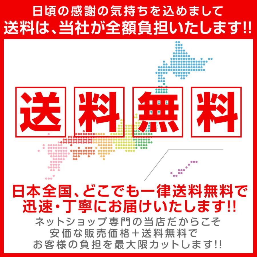タトゥーシール 【2週間持続】 選べる トライバル 龍 10枚セット 防水 タトゥー シール メンズ 腕 背中 長持ち おしゃれ 韓国 フェイクタトゥー ハロウィン |  | 15
