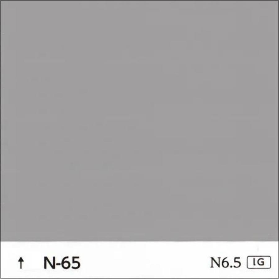 FRP防水用 塗料 イソ系【トップコート(グレー) 1kg】日塗工番 N-65