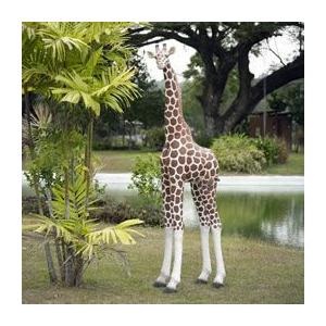 可愛い子キリン Frpアニマルオブジェ 即納可 Fr 通販ショップcaruna 通販 Yahoo ショッピング