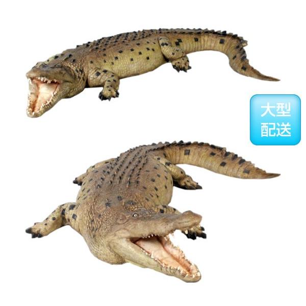 楽天市場】ワニの置物 ナイルワニ リアルな 鰐 わに 爬虫類 動物