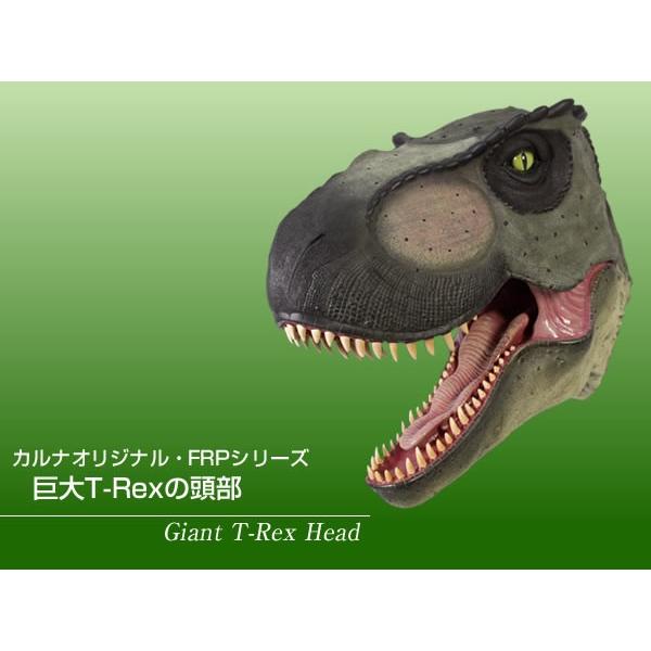 巨大T-Rexの頭部 FRP恐竜オブジェ |  | 01
