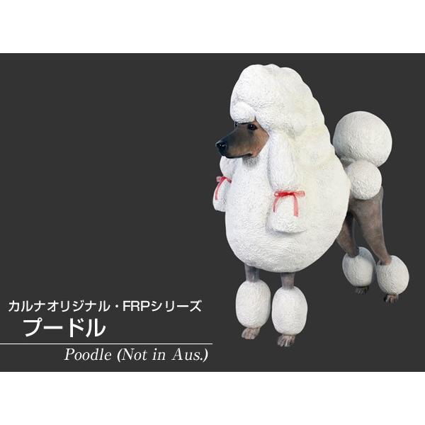 プードル FRPアニマルオブジェ_1