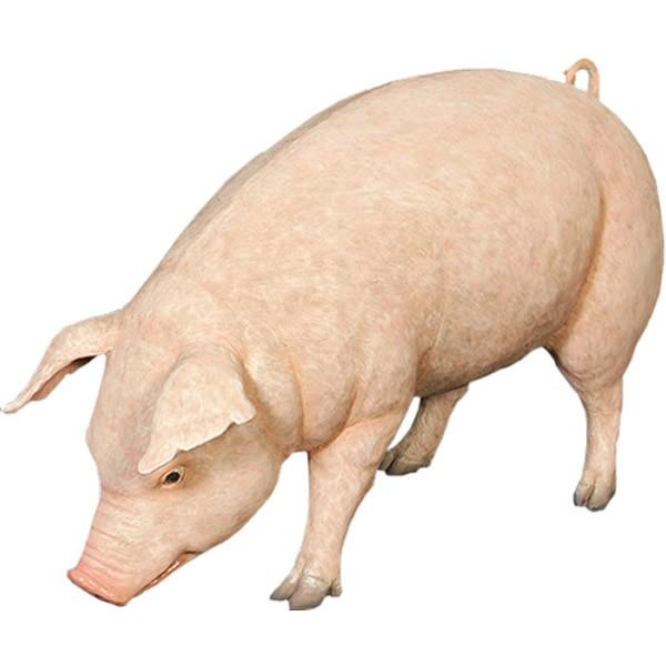 注目ブランド 母さん豚 Frpアニマルオブジェ 正規品 Zoetalentsolutions Com