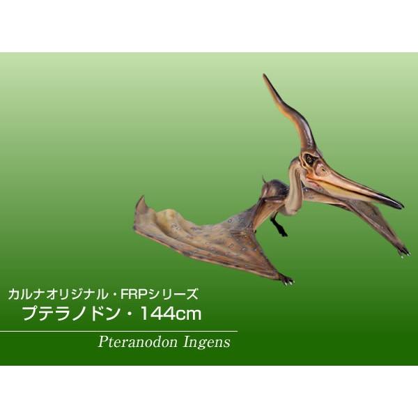 プテラノドン・144cm FRP恐竜オブジェ : 日本最大級のFRP造形物 
