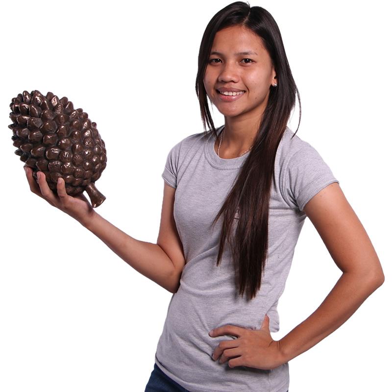 松ぼっくり・小型 FRPオブジェ |  | 04