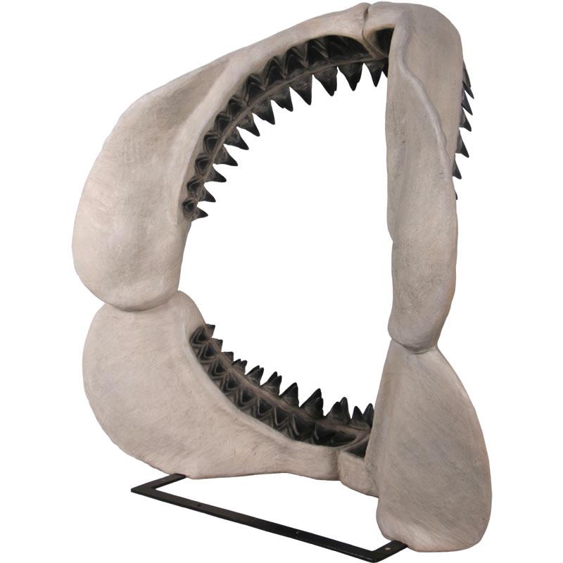 メガロドンジョーズの歯の化石 FRP恐竜オブジェ |  | 04
