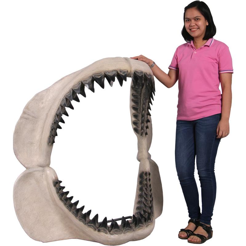 メガロドンジョーズの歯の化石 FRP恐竜オブジェ |  | 07